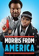 Morris from America - película: Ver online en español