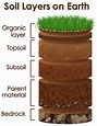 Free Vector | Diagram showing soil layers on earth