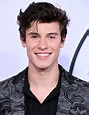 Shawn Mendes Wins Big At 2018 iHeartRadio MMVAs - The Hollywood Digest