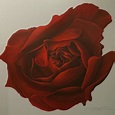 Botanical Art by American Artist Scott Carle | Large brilliant and ...