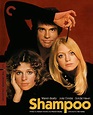 SHAMPOO (1975) - Comic Book and Movie Reviews