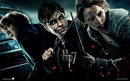 Harry Potter - Harry Potter Wallpaper (34215577) - Fanpop