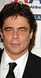 Benicio Del Toro - IMDb