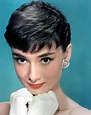 Audrey Hepburn - Audrey Hepburn Photo (21766684) - Fanpop