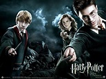 Harry Potter - Harry Potter Wallpaper (24330726) - Fanpop