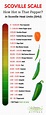 Gallery of guide to the scoville heat scale updated 2019 house of ...