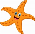 Cute Starfish Vector Art, Icons, and Graphics for Free Download