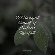 25 Tranquil Sounds of Ambient Rainfall, Water Spa - Qobuz