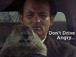 Don't Drive Angry by Todd Austin on Dribbble