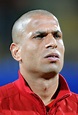 Wael Gomaa Stock Photos and Pictures | Getty Images