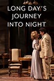 Long Day's Journey Into Night: Live (2017) dvd movie cover
