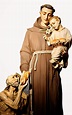 Dia a Dia Franciscano.: Especial - Santo Antônio, de Lisboa, de Pádua e ...