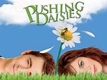 Prime Video: Pushing Daisies: The Complete First Season