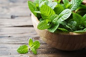 8 beneficios curativos de la menta | El Diario NY