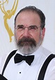 Mandy Patinkin - Biography, Height & Life Story | Super Stars Bio