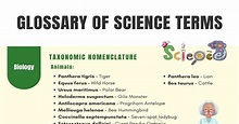 Science Terms | Science Words | Scientific Terminology • 7ESL