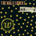 The Wallflowers - Bringing Down the Horse - Reviews - Album of The Year