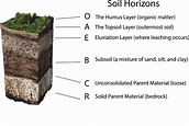 The Significance of Soil: Part II - BlueSky Organics™