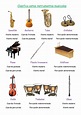 Descubre las mejores actividades de clasificación de instrumentos ...