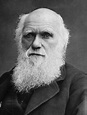 ¿En qué consiste la Teoría de la Evolución de Darwin? - Chema Tierra
