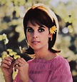 Forestdweller: Claudine Longet