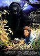 La película Gorilas en la niebla - el Final de