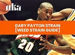 Gary Payton Strain [Weed Strain Guide]