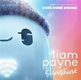 “Sunshine”: Liam Payne anuncia novo single. Saiba Mais! » UPdatePOP