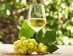 15 tipos de vinhos mais populares do mundo