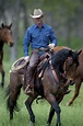 Chris Cox (horse trainer) - Alchetron, the free social encyclopedia