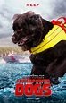 Superpower Dogs Movie Poster (#5 of 7) - IMP Awards