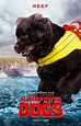 Superpower Dogs (#5 of 7): Mega Sized Movie Poster Image - IMP Awards