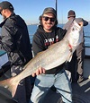 San Francisco Bay Fish Report - San Francisco, CA
