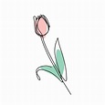 Tulipán | Line art flowers, Line art drawings, Flower drawing