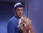 "Space Dog" - The Enemy Within - Star Trek: The Original Series Image ...