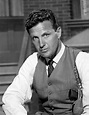 Picture of Robert Stack