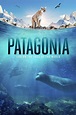 Patagonia: Life at the Edge of the World (serie 2022) - Tráiler ...