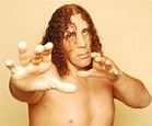 Giant Silva: Profile & Match Listing - Internet Wrestling Database (IWD)