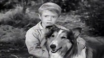 Lassie | Lassie's Decision | Full Episodes | Old Cartoons | Videos For ...