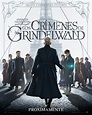 'Animales fantásticos: Los crímenes de Grindelwald': Nuevo póster español
