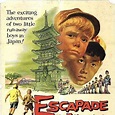 Verschollen in Japan - Film 1957 - FILMSTARTS.de