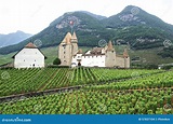 Castillo de Aigle Suiza imagen de archivo editorial. Imagen de ...