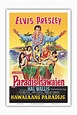 Paradise Hawaiian Style (Paradis Hawaien) - Starring Elvis Presley ...