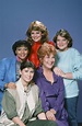 'The Facts of Life' Cast Shares Show Secrets For 40th Anniversary