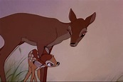 "BAMBI" (1942) Bambi and his Mother | Bambi disney, Bambi, Bambi 1942