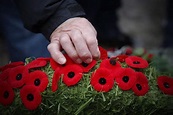 Remembrance Day 2020: What’s open and closed in Cambridge, Kitchener ...
