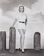 Jan Sterling picture
