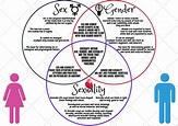 Module 1: Gender and Sexuality as a Social Reality Lesson 1 - Venn ...