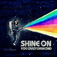 Shine On You Crazy Diamond | Pink floyd shine on, Pink floyd pictures ...