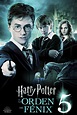 Ver Harry Potter y la Orden del Fénix (2007) Online HD | PepeCine